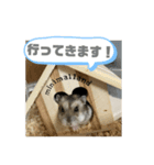 とっとこ毎日こうしくん（個別スタンプ：4）