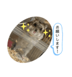 とっとこ毎日こうしくん（個別スタンプ：6）