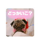 うどんちゃん3（個別スタンプ：4）