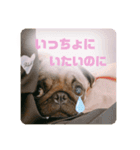 うどんちゃん3（個別スタンプ：9）