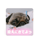 うどんちゃん3（個別スタンプ：11）
