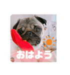 うどんちゃん3（個別スタンプ：12）