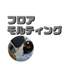 ウイスキー用語（個別スタンプ：4）