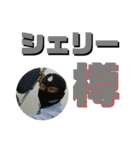 ウイスキー用語（個別スタンプ：14）