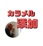 ウイスキー用語（個別スタンプ：23）