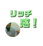 ウイスキー用語（個別スタンプ：32）