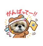 シーズーの翔太スタンプ4（個別スタンプ：11）