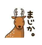 おシャレな動物園。（個別スタンプ：12）