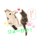カツタさん家の仲良し3匹組(1)（個別スタンプ：8）