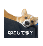 チロルスタンプpart2（個別スタンプ：10）