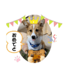 チロルスタンプpart2（個別スタンプ：13）