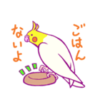 エンジョイオカメインコ（個別スタンプ：11）