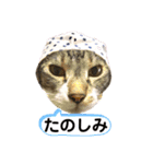 ボクは大ちゃん 2（個別スタンプ：5）