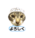 ボクは大ちゃん 2（個別スタンプ：6）