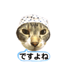 ボクは大ちゃん 2（個別スタンプ：7）