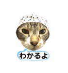 ボクは大ちゃん 2（個別スタンプ：8）