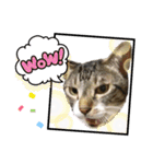 ボクは大ちゃん 2（個別スタンプ：35）