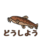 あおスタの動物スタンプシリーズ 魚編（個別スタンプ：17）