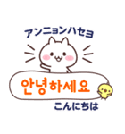 白ネコとひよこと韓国語(ふりがな＆訳付き)（個別スタンプ：1）