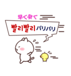 白ネコとひよこと韓国語(ふりがな＆訳付き)（個別スタンプ：23）