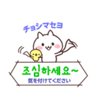 白ネコとひよこと韓国語(ふりがな＆訳付き)（個別スタンプ：34）