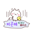 白ネコとひよこと韓国語(ふりがな＆訳付き)（個別スタンプ：39）