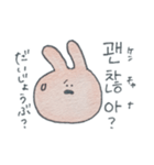 うさぎのスタンプ(韓国語)（個別スタンプ：13）