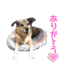 ジョン＆ベス（個別スタンプ：1）