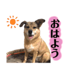 ジョン＆ベス（個別スタンプ：3）