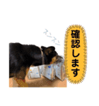 ジョン＆ベス（個別スタンプ：4）