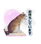 ジョン＆ベス（個別スタンプ：7）