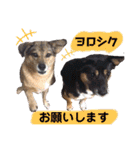 ジョン＆ベス（個別スタンプ：9）