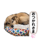 ジョン＆ベス（個別スタンプ：10）