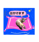ジョン＆ベス（個別スタンプ：12）