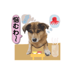 ジョン＆ベス（個別スタンプ：14）