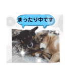 ジョン＆ベス（個別スタンプ：21）