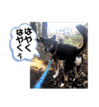 ジョン＆ベス（個別スタンプ：22）