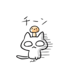 ねこときのこ（個別スタンプ：36）