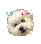ごくうです。ささみが好きです（個別スタンプ：1）