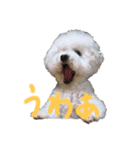 ごくうです。ささみが好きです（個別スタンプ：4）