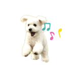 ごくうです。ささみが好きです（個別スタンプ：6）