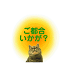 ちろるさん❸（個別スタンプ：2）