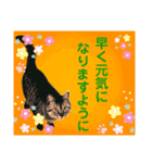 ちろるさん❸（個別スタンプ：20）