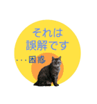 ちろるさん❸（個別スタンプ：24）