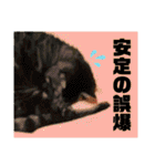 ちろるさん❸（個別スタンプ：26）