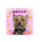 みんなのりっくん！（個別スタンプ：5）