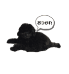 harry (part2)（個別スタンプ：1）
