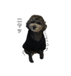 harry (part2)（個別スタンプ：3）