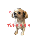 harry (part2)（個別スタンプ：6）
