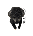 harry (part2)（個別スタンプ：7）